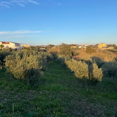 Nella Valle Dei Templi E Al Mare *